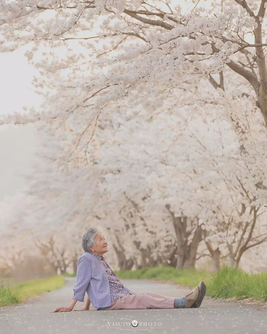 “让我陪泥一辈子”柴柴和85岁阿嬷在樱花树下合照　网友感动喊：愿时光不老插图14
